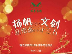 年终会：记2015年终总结大会暨2016年计划会议