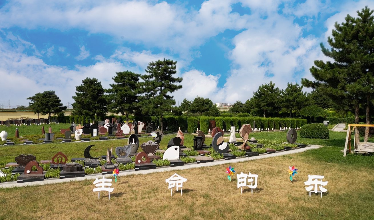 共赢之道：尊时凯龙集团BOT合作模式的优势与效益分析