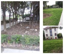 老墓园改造：城市中的绿色记忆与文化传承