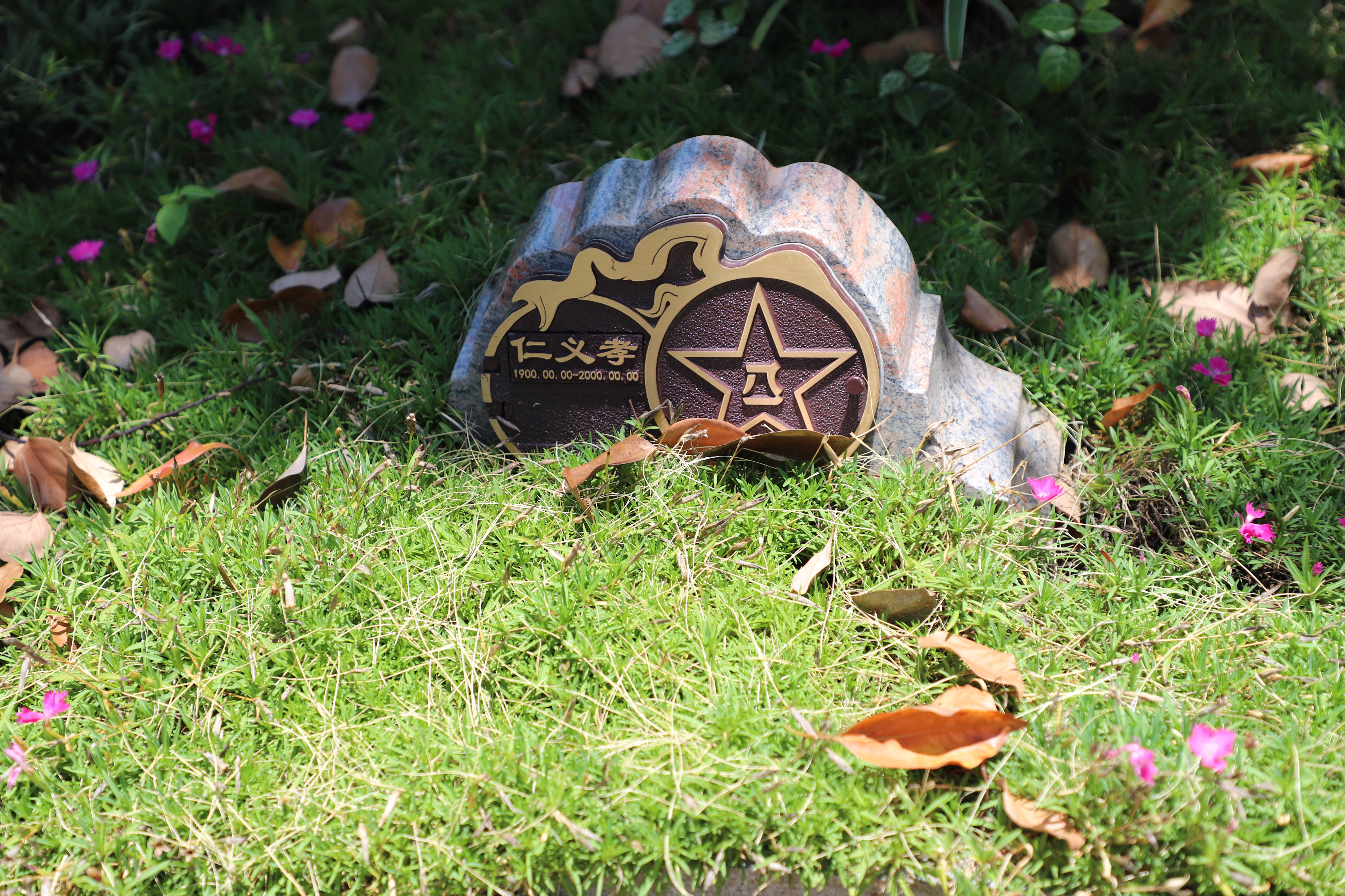 尘归尘，土归土：当生命终与自然相融